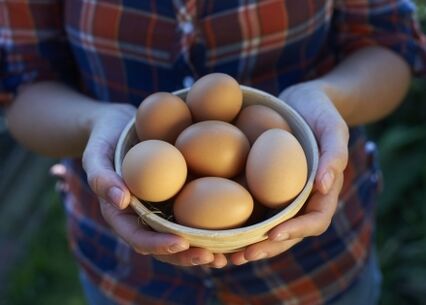 výhody kuřecích vajec